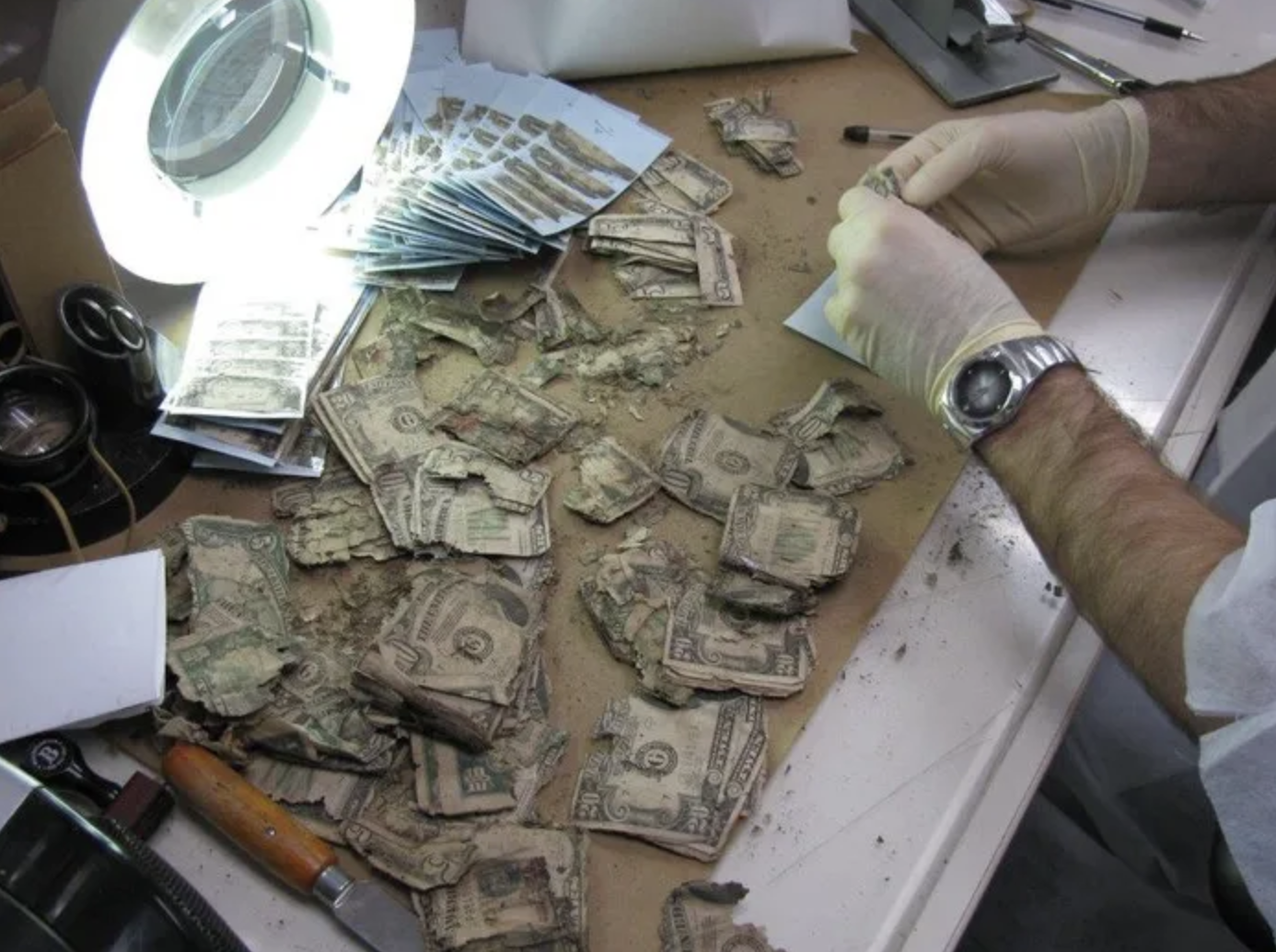 The Mutilated Currency Division at the BEP